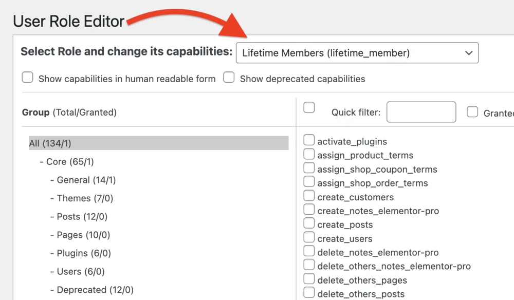 Custom User Role “Lifetime Members” created with User Role Editor plugin for WooCommerce Analytics tracking.